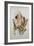 Hyacinth-Thomas Jones Barker-Framed Giclee Print