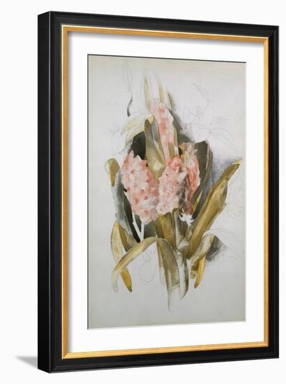 Hyacinth-Thomas Jones Barker-Framed Giclee Print