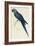 Hyacinthe Maccaw, Macrocercus Hyacinthanus, Illustration of the Family of Psittacidae, or Parrots-Edward Lear-Framed Giclee Print