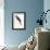 Hyacinthine Parakeet-Edward Lear-Framed Art Print displayed on a wall