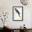 Hyacinthine Parakeet-Edward Lear-Framed Premium Giclee Print displayed on a wall