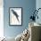 Hyacinthine Parakeet-Edward Lear-Framed Premium Giclee Print displayed on a wall