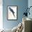 Hyacinthine Parakeet-Edward Lear-Framed Premium Giclee Print displayed on a wall