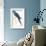 Hyacinthine Parakeet-Edward Lear-Framed Premium Giclee Print displayed on a wall