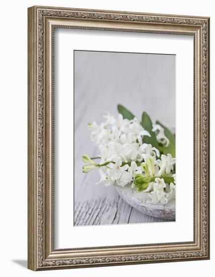 Hyacinths, White, Spring Flowers, Blossoms, Stone Bowl-Andrea Haase-Framed Photographic Print