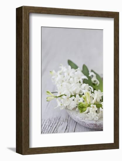 Hyacinths, White, Spring Flowers, Blossoms, Stone Bowl-Andrea Haase-Framed Photographic Print