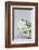 Hyacinths, White, Spring Flowers, Blossoms, Stone Bowl-Andrea Haase-Framed Photographic Print