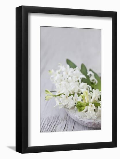 Hyacinths, White, Spring Flowers, Blossoms, Stone Bowl-Andrea Haase-Framed Photographic Print