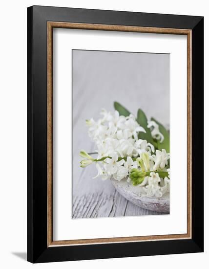 Hyacinths, White, Spring Flowers, Blossoms, Stone Bowl-Andrea Haase-Framed Photographic Print