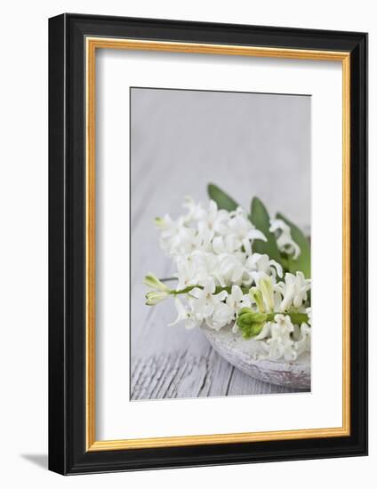 Hyacinths, White, Spring Flowers, Blossoms, Stone Bowl-Andrea Haase-Framed Photographic Print