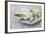 Hyacinths, White, Spring Flowers, Blossoms, Wooden Bowl-Andrea Haase-Framed Photographic Print
