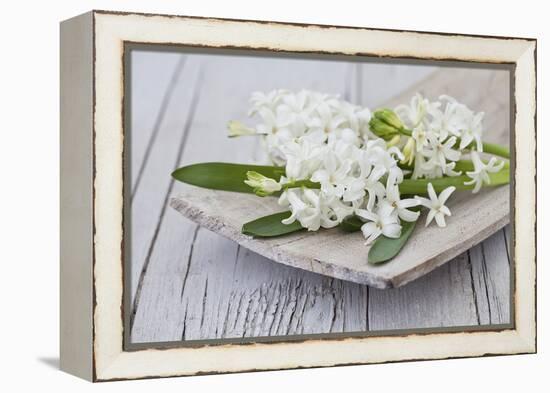 Hyacinths, White, Spring Flowers, Blossoms, Wooden Bowl-Andrea Haase-Framed Premier Image Canvas
