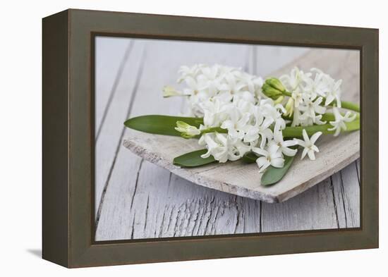 Hyacinths, White, Spring Flowers, Blossoms, Wooden Bowl-Andrea Haase-Framed Premier Image Canvas