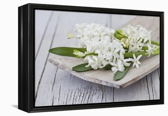 Hyacinths, White, Spring Flowers, Blossoms, Wooden Bowl-Andrea Haase-Framed Premier Image Canvas