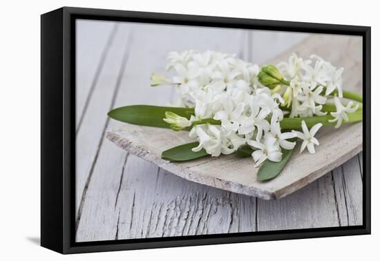 Hyacinths, White, Spring Flowers, Blossoms, Wooden Bowl-Andrea Haase-Framed Premier Image Canvas