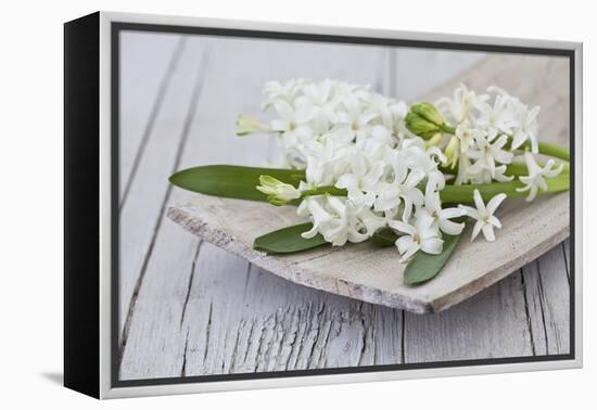 Hyacinths, White, Spring Flowers, Blossoms, Wooden Bowl-Andrea Haase-Framed Premier Image Canvas