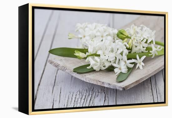 Hyacinths, White, Spring Flowers, Blossoms, Wooden Bowl-Andrea Haase-Framed Premier Image Canvas