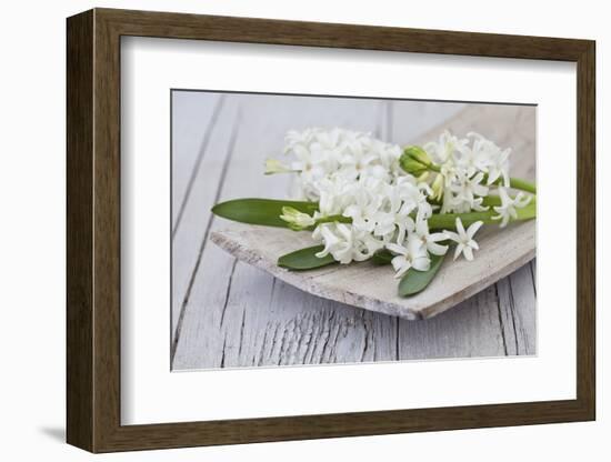 Hyacinths, White, Spring Flowers, Blossoms, Wooden Bowl-Andrea Haase-Framed Photographic Print