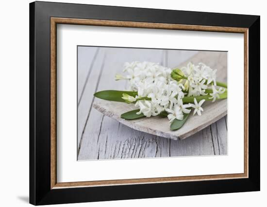 Hyacinths, White, Spring Flowers, Blossoms, Wooden Bowl-Andrea Haase-Framed Photographic Print