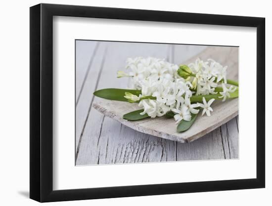 Hyacinths, White, Spring Flowers, Blossoms, Wooden Bowl-Andrea Haase-Framed Photographic Print