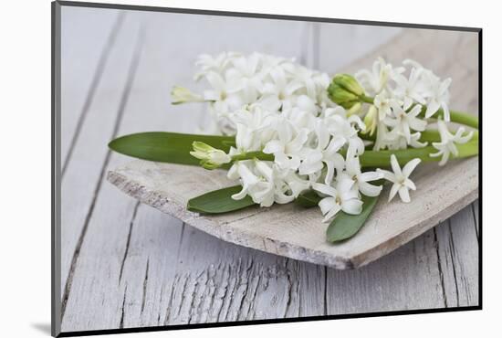 Hyacinths, White, Spring Flowers, Blossoms, Wooden Bowl-Andrea Haase-Mounted Photographic Print