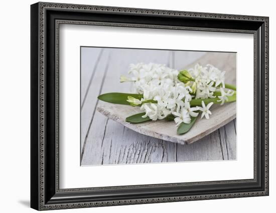 Hyacinths, White, Spring Flowers, Blossoms, Wooden Bowl-Andrea Haase-Framed Photographic Print