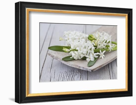 Hyacinths, White, Spring Flowers, Blossoms, Wooden Bowl-Andrea Haase-Framed Photographic Print