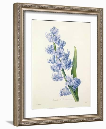 Hyacinthus Orientalis (Common Hyacinth), Engraved by Victor, from 'Choix Des Plus Belles Fleurs',…-Pierre-Joseph Redouté-Framed Giclee Print