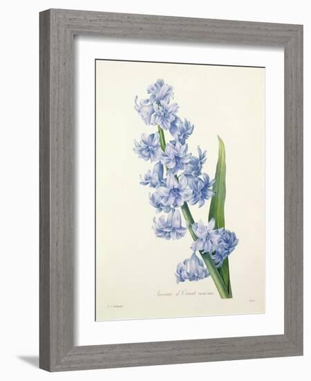 Hyacinthus Orientalis (Common Hyacinth), Engraved by Victor, from 'Choix Des Plus Belles Fleurs',…-Pierre-Joseph Redouté-Framed Giclee Print