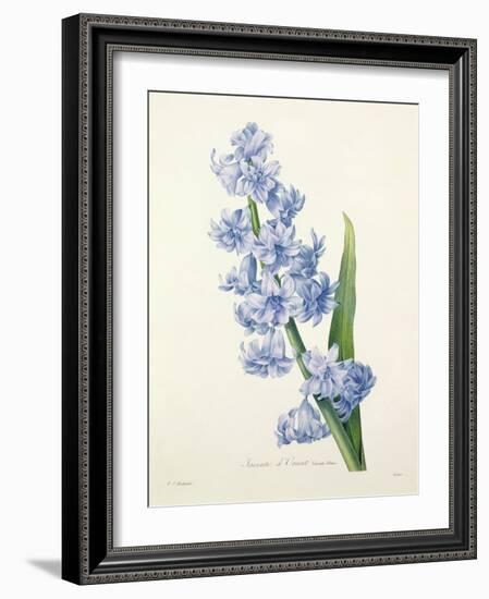 Hyacinthus Orientalis (Common Hyacinth), Engraved by Victor, from 'Choix Des Plus Belles Fleurs',…-Pierre-Joseph Redouté-Framed Giclee Print