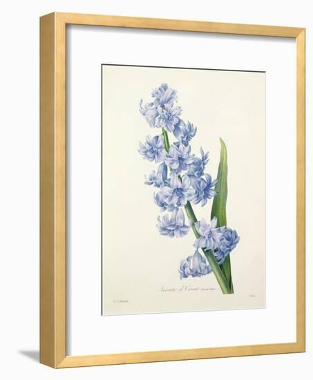 Hyacinthus Orientalis (Common Hyacinth), Engraved by Victor, from 'Choix Des Plus Belles Fleurs',…-Pierre-Joseph Redouté-Framed Giclee Print