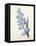 Hyacinthus Orientalis (Common Hyacinth), Engraved by Victor, from 'Choix Des Plus Belles Fleurs',…-Pierre-Joseph Redouté-Framed Premier Image Canvas