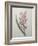 Hyacinthus Orientalis-Pierre-Joseph Redoute-Framed Art Print