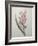 Hyacinthus Orientalis-Pierre-Joseph Redoute-Framed Art Print