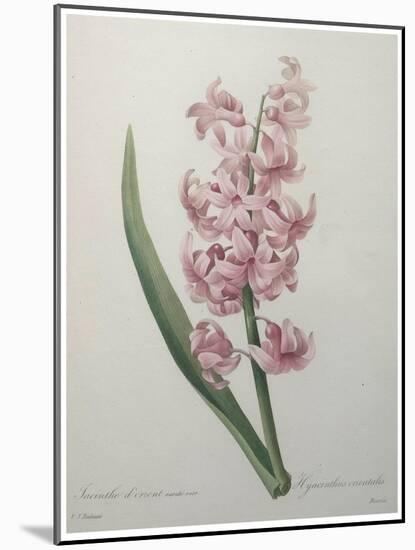 Hyacinthus Orientalis-Pierre-Joseph Redoute-Mounted Art Print