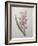 Hyacinthus Orientalis-Pierre-Joseph Redoute-Framed Art Print