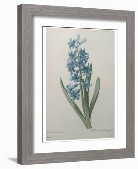 Hyacinthus Orientalis-Pierre-Joseph Redoute-Framed Art Print