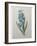 Hyacinthus Orientalis-Pierre-Joseph Redoute-Framed Art Print