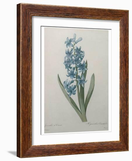 Hyacinthus Orientalis-Pierre-Joseph Redoute-Framed Art Print