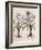 Hyacinthus Orientalis-Basilius Besler-Framed Art Print