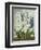 Hyacynths-Robert John Thornton-Framed Giclee Print