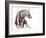 Hyaena Pup, 2019-Mark Adlington-Framed Giclee Print