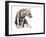 Hyaena Pup, 2019-Mark Adlington-Framed Giclee Print