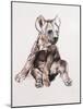 Hyaena Pup, 2019,-Mark Adlington-Mounted Giclee Print