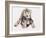 Hyaena Pup, 2019,-Mark Adlington-Framed Giclee Print