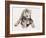 Hyaena Pup, 2019,-Mark Adlington-Framed Giclee Print