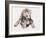 Hyaena Pup, 2019,-Mark Adlington-Framed Giclee Print