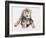 Hyaena Pup, 2019,-Mark Adlington-Framed Giclee Print