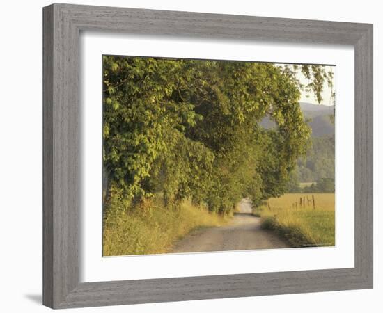 Hyatt Lane at Sunrise, Cades Cove, Great Smoky Mountains National Park, Tennessee, USA-Adam Jones-Framed Photographic Print