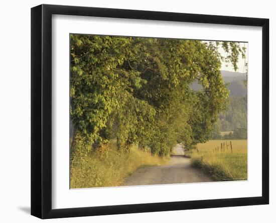 Hyatt Lane at Sunrise, Cades Cove, Great Smoky Mountains National Park, Tennessee, USA-Adam Jones-Framed Photographic Print